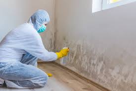 Best Forensic Mold Investigation  in Springdale, PA