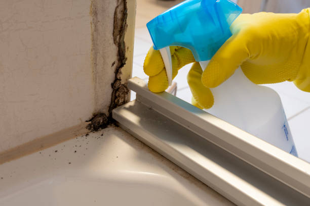 Best Commercial Mold Inspection  in Springdale, PA