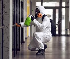 Professional Mold Prevention & Removal  in Springdale, PA